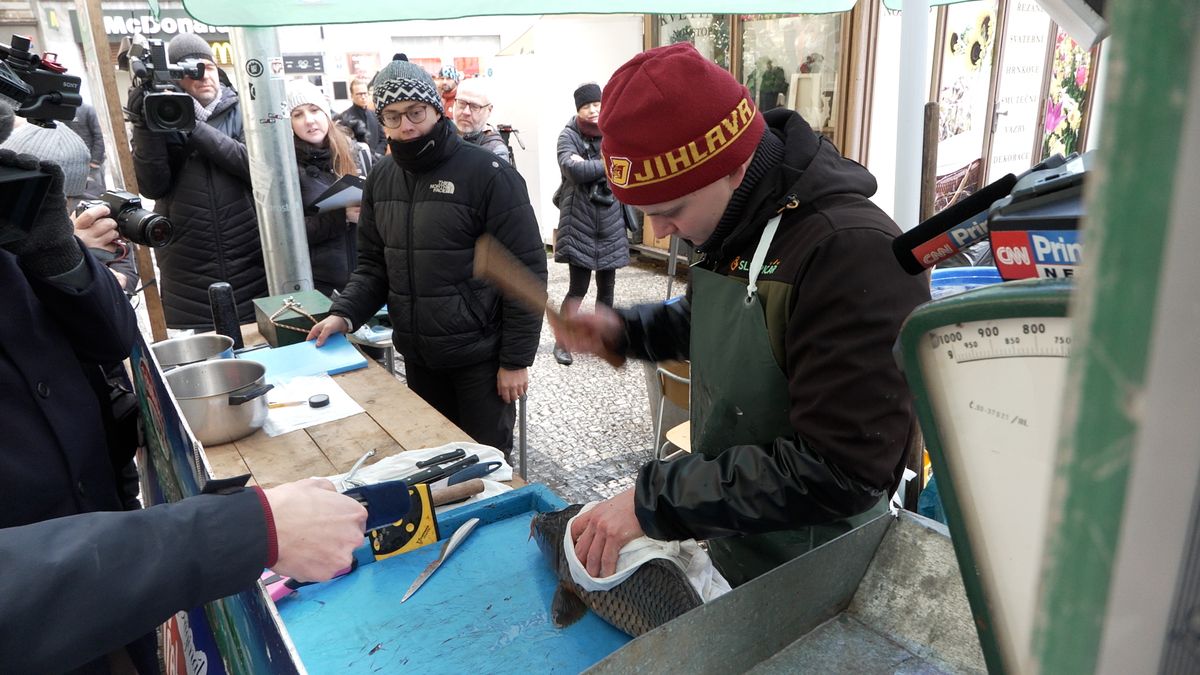 Je to každoroční obraz českých Vánoc. Prodej kaprů v kádích je pro ryby podle odborníků tvrdý nápor